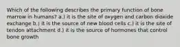 Which of the following describes the primary function of bone marrow in humans? a.) it is the site of oxygen and carbon dioxide exchange b.) it is the source of new blood cells c.) it is the site of tendon attachment d.) it is the source of hormones that control bone growth