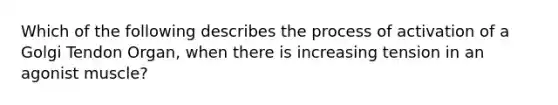 Which of the following describes the process of activation of a Golgi Tendon Organ, when there is increasing tension in an agonist muscle?