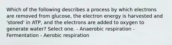 Which of the following describes a process by which electrons are removed from glucose, the electron energy is harvested and 'stored' in ATP, and the electrons are added to oxygen to generate water? Select one. - Anaerobic respiration - Fermentation - Aerobic respiration