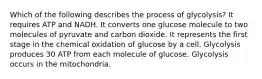 Which of the following describes the process of glycolysis? It requires ATP and NADH. It converts one glucose molecule to two molecules of pyruvate and carbon dioxide. It represents the first stage in the chemical oxidation of glucose by a cell. Glycolysis produces 30 ATP from each molecule of glucose. Glycolysis occurs in the mitochondria.