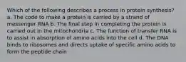 Which of the following describes a process in protein synthesis? a. The code to make a protein is carried by a strand of messenger RNA b. The final step in completing the protein is carried out in the mitochondria c. The function of transfer RNA is to assist in absorption of amino acids into the cell d. The DNA binds to ribosomes and directs uptake of specific amino acids to form the peptide chain