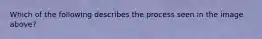 Which of the following describes the process seen in the image above?