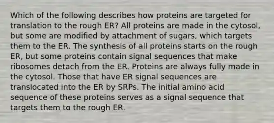 Which of the following describes how proteins are targeted for translation to the rough ER? All proteins are made in the cytosol, but some are modified by attachment of sugars, which targets them to the ER. The synthesis of all proteins starts on the rough ER, but some proteins contain signal sequences that make ribosomes detach from the ER. Proteins are always fully made in the cytosol. Those that have ER signal sequences are translocated into the ER by SRPs. The initial amino acid sequence of these proteins serves as a signal sequence that targets them to the rough ER.