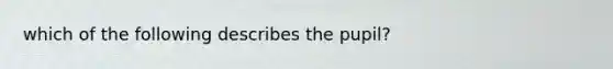 which of the following describes the pupil?