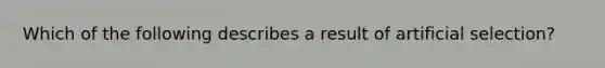 Which of the following describes a result of artificial selection?