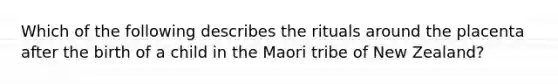 Which of the following describes the rituals around the placenta after the birth of a child in the Maori tribe of New Zealand?