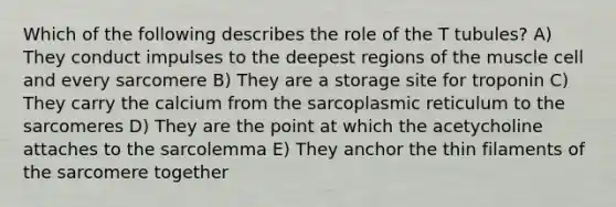 Which of the following describes the role of the T tubules? A) They conduct impulses to the deepest regions of the muscle cell and every sarcomere B) They are a storage site for troponin C) They carry the calcium from the sarcoplasmic reticulum to the sarcomeres D) They are the point at which the acetycholine attaches to the sarcolemma E) They anchor the thin filaments of the sarcomere together