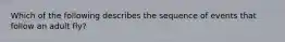 Which of the following describes the sequence of events that follow an adult fly?