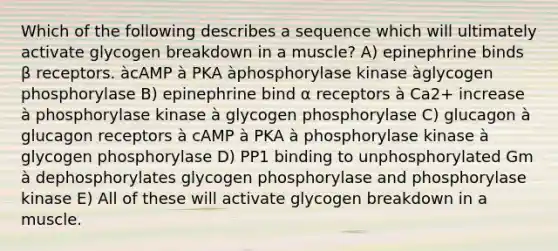 Which of the following describes a sequence which will ultimately activate glycogen breakdown in a muscle? A) epinephrine binds β receptors. àcAMP à PKA àphosphorylase kinase àglycogen phosphorylase B) epinephrine bind α receptors à Ca2+ increase à phosphorylase kinase à glycogen phosphorylase C) glucagon à glucagon receptors à cAMP à PKA à phosphorylase kinase à glycogen phosphorylase D) PP1 binding to unphosphorylated Gm à dephosphorylates glycogen phosphorylase and phosphorylase kinase E) All of these will activate glycogen breakdown in a muscle.