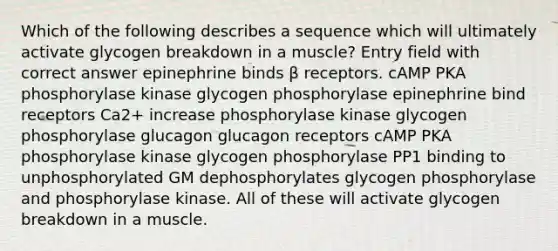 Which of the following describes a sequence which will ultimately activate glycogen breakdown in a muscle? Entry field with correct answer epinephrine binds β receptors. cAMP PKA phosphorylase kinase glycogen phosphorylase epinephrine bind receptors Ca2+ increase phosphorylase kinase glycogen phosphorylase glucagon glucagon receptors cAMP PKA phosphorylase kinase glycogen phosphorylase PP1 binding to unphosphorylated GM dephosphorylates glycogen phosphorylase and phosphorylase kinase. All of these will activate glycogen breakdown in a muscle.