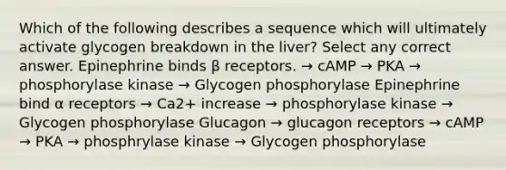 Which of the following describes a sequence which will ultimately activate glycogen breakdown in the liver? Select any correct answer. Epinephrine binds β receptors. → cAMP → PKA → phosphorylase kinase → Glycogen phosphorylase Epinephrine bind α receptors → Ca2+ increase → phosphorylase kinase → Glycogen phosphorylase Glucagon → glucagon receptors → cAMP → PKA → phosphrylase kinase → Glycogen phosphorylase