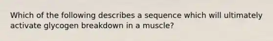 Which of the following describes a sequence which will ultimately activate glycogen breakdown in a muscle?