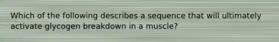 Which of the following describes a sequence that will ultimately activate glycogen breakdown in a muscle?