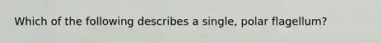 Which of the following describes a single, polar flagellum?