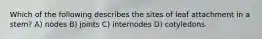 Which of the following describes the sites of leaf attachment in a stem? A) nodes B) joints C) internodes D) cotyledons