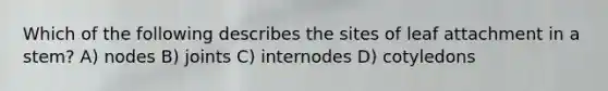Which of the following describes the sites of leaf attachment in a stem? A) nodes B) joints C) internodes D) cotyledons