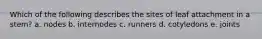 Which of the following describes the sites of leaf attachment in a stem? a. nodes b. internodes c. runners d. cotyledons e. joints