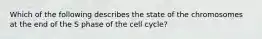 Which of the following describes the state of the chromosomes at the end of the S phase of the cell cycle?