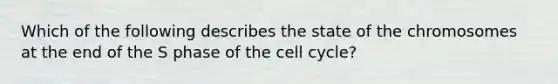 Which of the following describes the state of the chromosomes at the end of the S phase of the cell cycle?