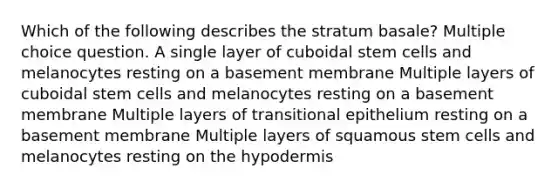 Which of the following describes the stratum basale? Multiple choice question. A single layer of cuboidal stem cells and melanocytes resting on a basement membrane Multiple layers of cuboidal stem cells and melanocytes resting on a basement membrane Multiple layers of transitional epithelium resting on a basement membrane Multiple layers of squamous stem cells and melanocytes resting on the hypodermis