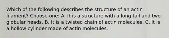 Which of the following describes the structure of an actin filament? Choose one: A. It is a structure with a long tail and two globular heads. B. It is a twisted chain of actin molecules. C. It is a hollow cylinder made of actin molecules.