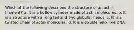 Which of the following describes the structure of an actin filament? a. It is a hollow cylinder made of actin molecules. b. It is a structure with a long tail and two globular heads. c. It is a twisted chain of actin molecules. d. It is a double helix like DNA.