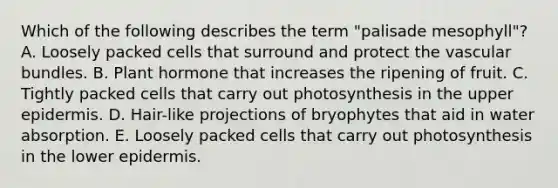 Which of the following describes the term "palisade mesophyll"? A. Loosely packed cells that surround and protect the vascular bundles. B. Plant hormone that increases the ripening of fruit. C. Tightly packed cells that carry out photosynthesis in the upper epidermis. D. Hair-like projections of bryophytes that aid in water absorption. E. Loosely packed cells that carry out photosynthesis in the lower epidermis.