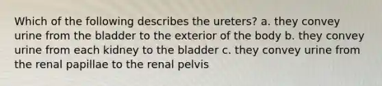 Which of the following describes the ureters? a. they convey urine from the bladder to the exterior of the body b. they convey urine from each kidney to the bladder c. they convey urine from the renal papillae to the renal pelvis