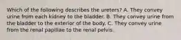 Which of the following describes the ureters? A. They convey urine from each kidney to the bladder. B. They convey urine from the bladder to the exterior of the body. C. They convey urine from the renal papillae to the renal pelvis.