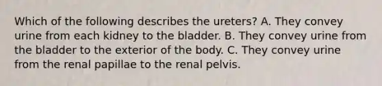 Which of the following describes the ureters? A. They convey urine from each kidney to the bladder. B. They convey urine from the bladder to the exterior of the body. C. They convey urine from the renal papillae to the renal pelvis.