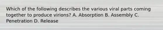 Which of the following describes the various viral parts coming together to produce virions? A. Absorption B. Assembly C. Penetration D. Release