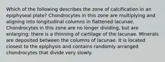 Which of the following describes the zone of calcification in an epiphyseal plate? Chondrocytes in this zone are multiplying and aligning into longitudinal columns in flattened lacunae. Chondrocytes in this zone are no longer dividing, but are enlarging; there is a thinning of cartilage of the lacunae. Minerals are deposited between the columns of lacunae. It is located closest to the epiphysis and contains randomly arranged chondrocytes that divide very slowly.