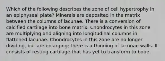 Which of the following describes the zone of cell hypertrophy in an epiphyseal plate? Minerals are deposited in the matrix between the columns of lacunae. There is a conversion of calcified cartilage into bone matrix. Chondrocytes in this zone are multiplying and aligning into longitudinal columns in flattened lacunae. Chondrocytes in this zone are no longer dividing, but are enlarging; there is a thinning of lacunae walls. It consists of resting cartilage that has yet to transform to bone.