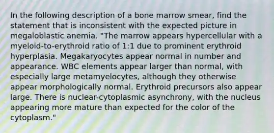 In the following description of a bone marrow smear, find the statement that is inconsistent with the expected picture in megaloblastic anemia. "The marrow appears hypercellular with a myeloid-to-erythroid ratio of 1:1 due to prominent erythroid hyperplasia. Megakaryocytes appear normal in number and appearance. WBC elements appear larger than normal, with especially large metamyelocytes, although they otherwise appear morphologically normal. Erythroid precursors also appear large. There is nuclear-cytoplasmic asynchrony, with the nucleus appearing more mature than expected for the color of the cytoplasm."