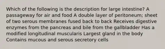 Which of the following is the description for large intestine? A passageway for air and food A double layer of peritoneum; sheet of two serous membranes fused back to back Receives digestive enzymes from the pancreas and bile from the gallbladder Has a modified longitudinal muscularis Largest gland in the body Contains mucous and serous secretory cells