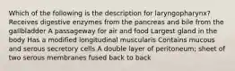 Which of the following is the description for laryngopharynx? Receives digestive enzymes from the pancreas and bile from the gallbladder A passageway for air and food Largest gland in the body Has a modified longitudinal muscularis Contains mucous and serous secretory cells A double layer of peritoneum; sheet of two serous membranes fused back to back