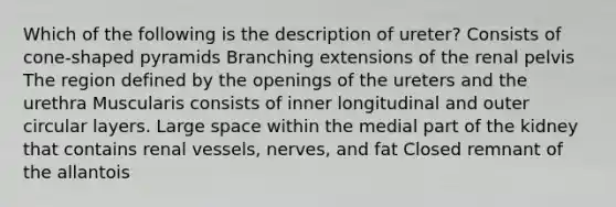 Which of the following is the description of ureter? Consists of cone-shaped pyramids Branching extensions of the renal pelvis The region defined by the openings of the ureters and the urethra Muscularis consists of inner longitudinal and outer circular layers. Large space within the medial part of the kidney that contains renal vessels, nerves, and fat Closed remnant of the allantois