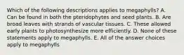 Which of the following descriptions applies to megaphylls? A. Can be found in both the pteridophytes and seed plants. B. Are broad leaves with strands of vascular tissues. C. These allowed early plants to photosynthesize more efficiently. D. None of these statements apply to megaphylls. E. All of the answer choices apply to megaphylls