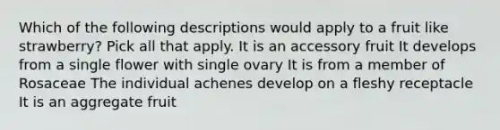 Which of the following descriptions would apply to a fruit like strawberry? Pick all that apply. It is an accessory fruit It develops from a single flower with single ovary It is from a member of Rosaceae The individual achenes develop on a fleshy receptacle It is an aggregate fruit