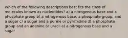 Which of the following descriptions best fits the class of molecules known as nucleotides? a) a nitrogenous base and a phosphate group b) a nitrogenous base, a phosphate group, and a sugar c) a sugar and a purine or pyrimidine d) a phosphate group and an adenine or uracil e) a nitrogenous base and a sugar