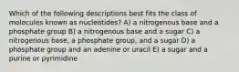 Which of the following descriptions best fits the class of molecules known as nucleotides? A) a nitrogenous base and a phosphate group B) a nitrogenous base and a sugar C) a nitrogenous base, a phosphate group, and a sugar D) a phosphate group and an adenine or uracil E) a sugar and a purine or pyrimidine