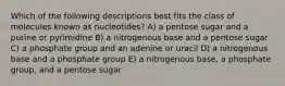 Which of the following descriptions best fits the class of molecules known as nucleotides? A) a pentose sugar and a purine or pyrimidine B) a nitrogenous base and a pentose sugar C) a phosphate group and an adenine or uracil D) a nitrogenous base and a phosphate group E) a nitrogenous base, a phosphate group, and a pentose sugar