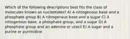 Which of the following descriptions best fits the class of molecules known as nucleotides? A) A nitrogenous base and a phosphate group B) A nitrogenous base and a sugar C) A nitrogenous base, a phosphate group, and a sugar D) A phosphate group and an adenine or uracil E) A sugar and a purine or pyrimidine