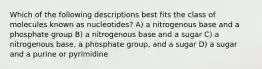 Which of the following descriptions best fits the class of molecules known as nucleotides? A) a nitrogenous base and a phosphate group B) a nitrogenous base and a sugar C) a nitrogenous base, a phosphate group, and a sugar D) a sugar and a purine or pyrimidine