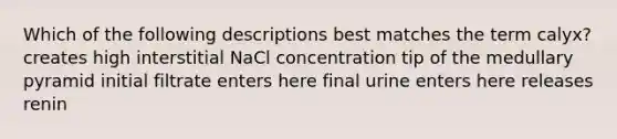 Which of the following descriptions best matches the term calyx? creates high interstitial NaCl concentration tip of the medullary pyramid initial filtrate enters here final urine enters here releases renin