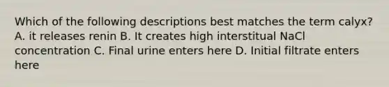 Which of the following descriptions best matches the term calyx? A. it releases renin B. It creates high interstitual NaCl concentration C. Final urine enters here D. Initial filtrate enters here