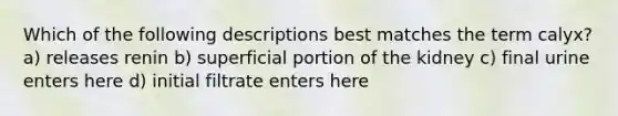 Which of the following descriptions best matches the term calyx? a) releases renin b) superficial portion of the kidney c) final urine enters here d) initial filtrate enters here