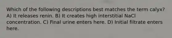 Which of the following descriptions best matches the term calyx? A) It releases renin. B) It creates high interstitial NaCl concentration. C) Final urine enters here. D) Initial filtrate enters here.