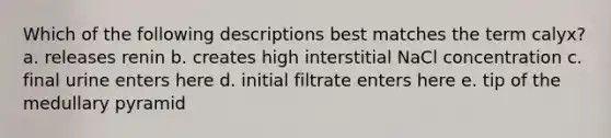 Which of the following descriptions best matches the term calyx? a. releases renin b. creates high interstitial NaCl concentration c. final urine enters here d. initial filtrate enters here e. tip of the medullary pyramid