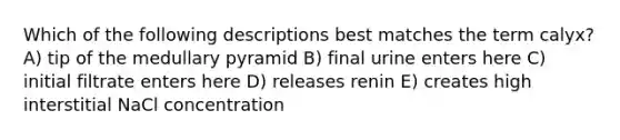 Which of the following descriptions best matches the term calyx? A) tip of the medullary pyramid B) final urine enters here C) initial filtrate enters here D) releases renin E) creates high interstitial NaCl concentration